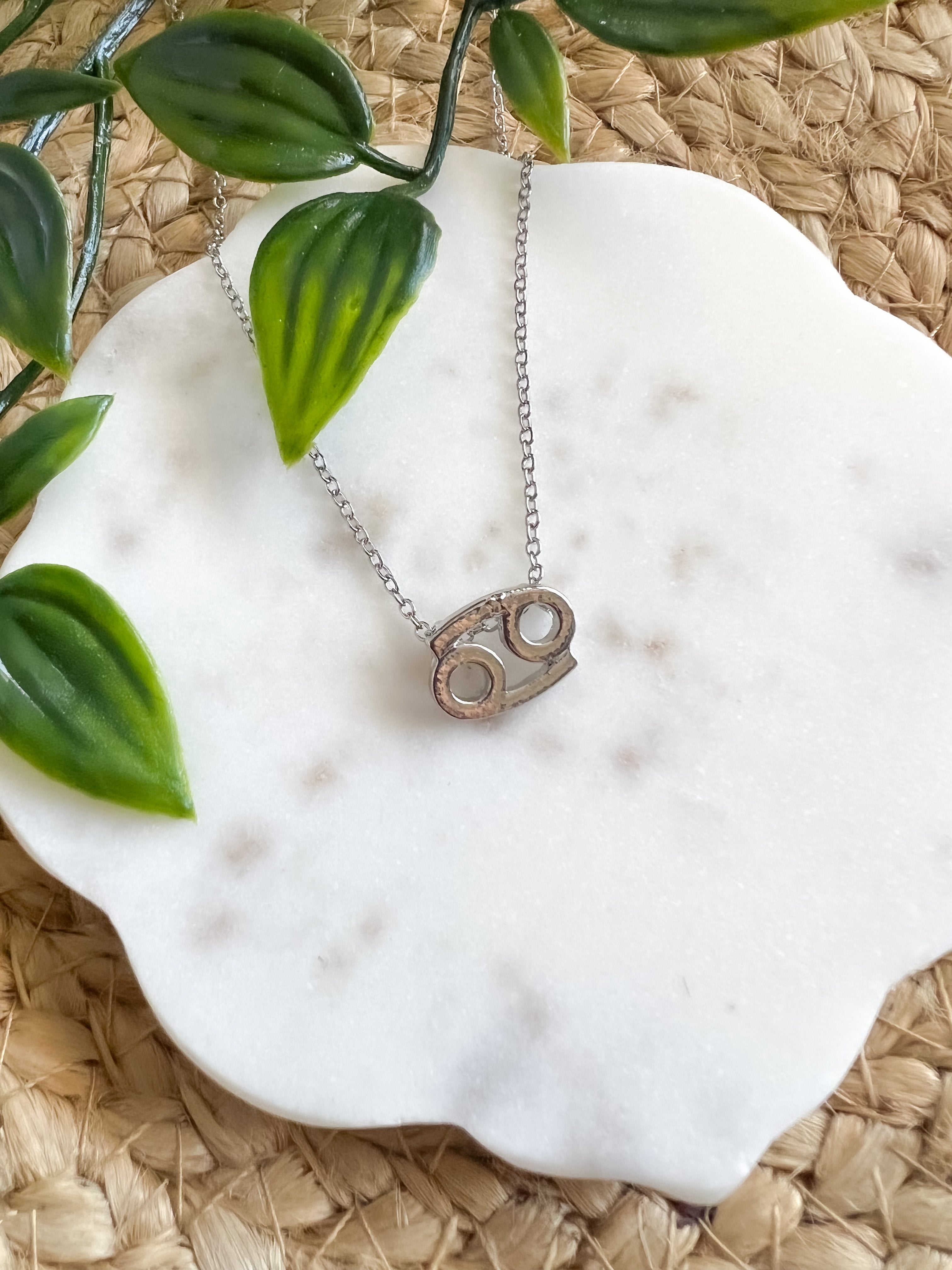 Zodiac Necklace - Silver