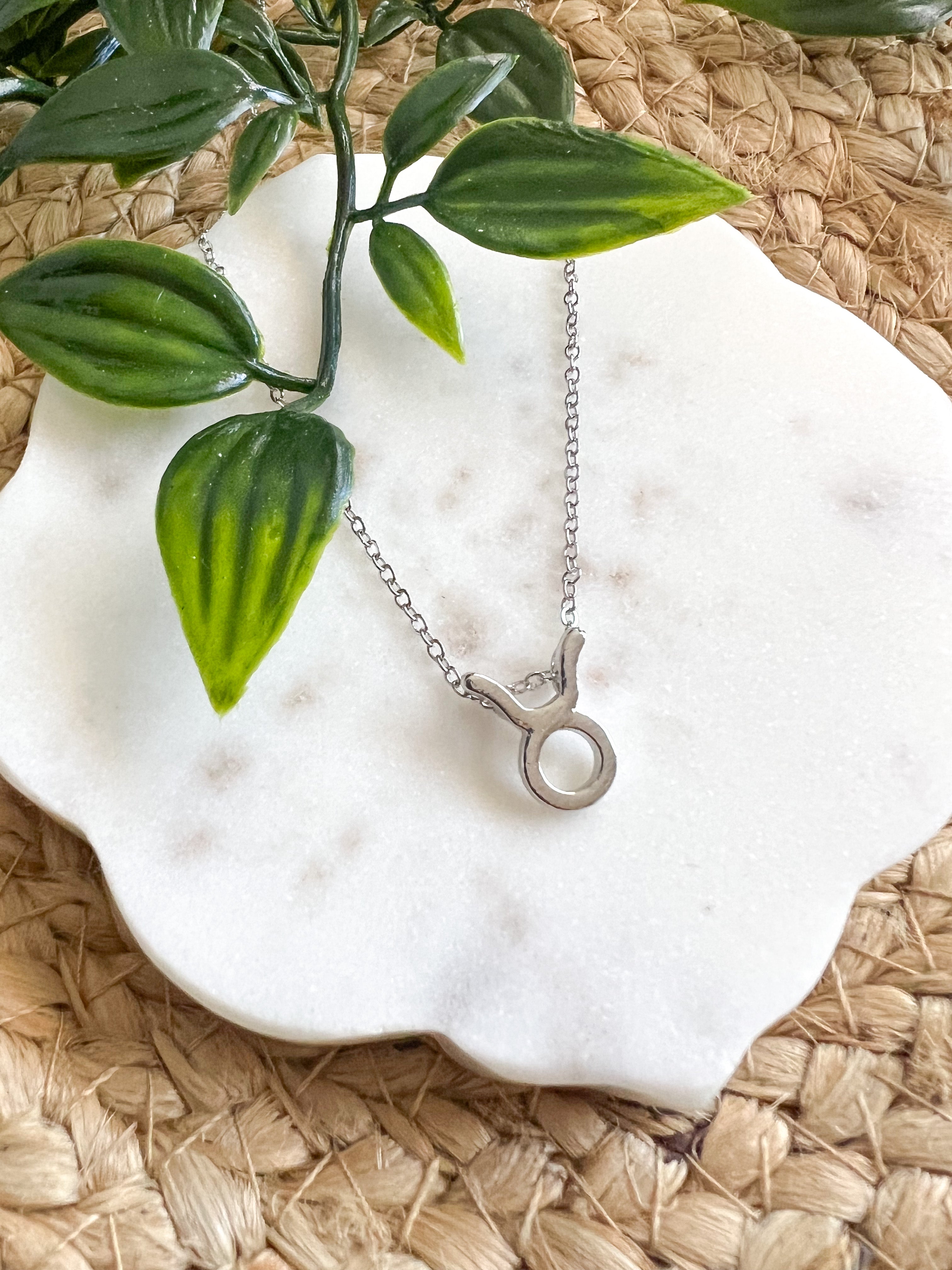 Zodiac Necklace - Silver